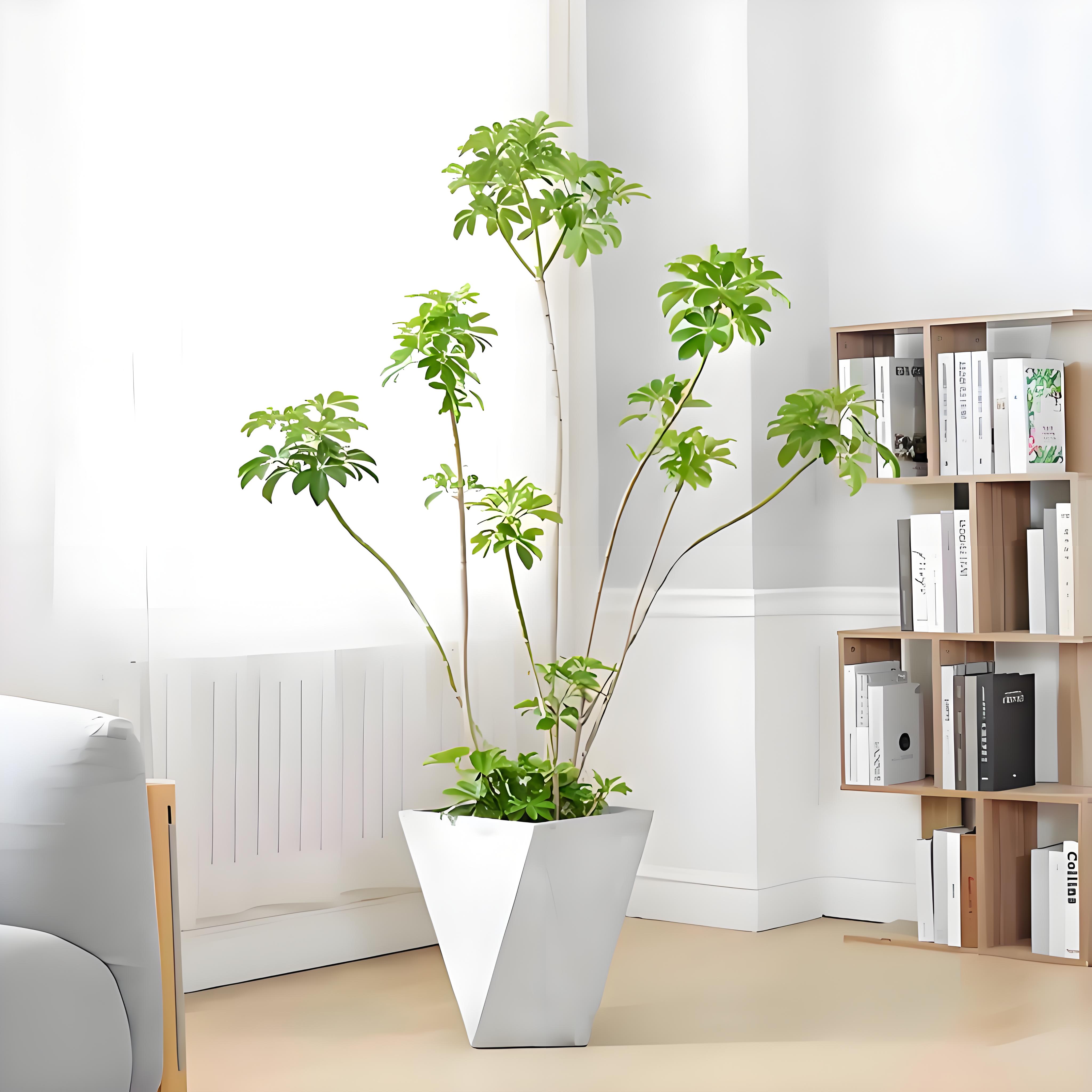 探秘宁波海曙花木租摆价格，别错过！